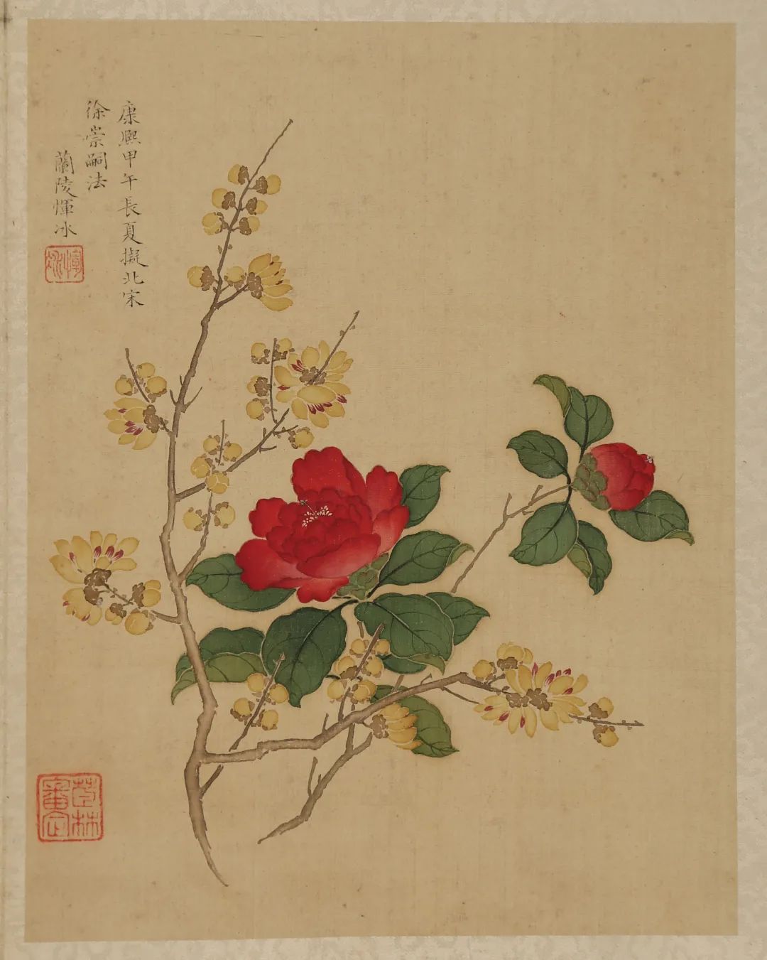 苏博将展"群芳竞秀,呈现馆藏明清花鸟画作_古代艺术_澎湃新闻-the