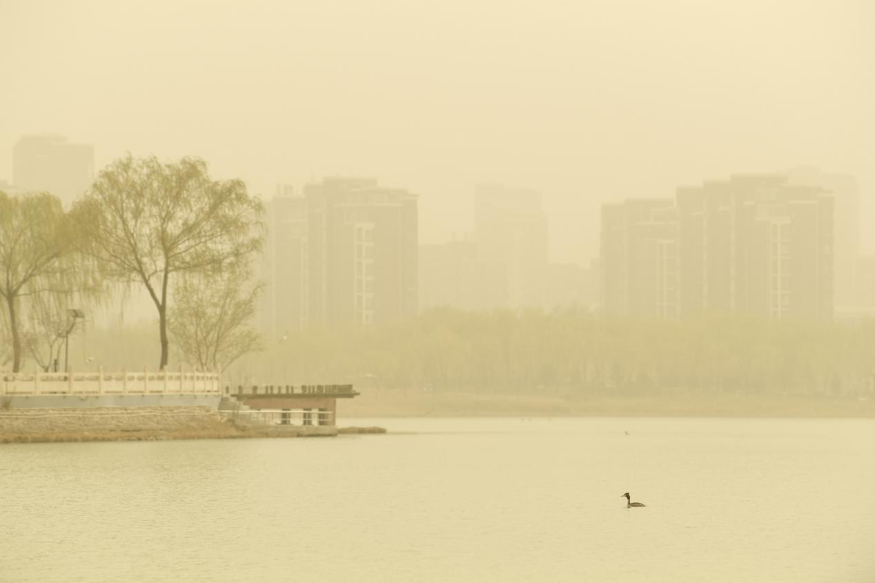 沙尘天气为何不断,沙尘暴频袭是否成常态?中央气象台专家这样说