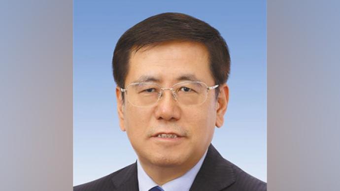 王凯当选河南省人民政府省长