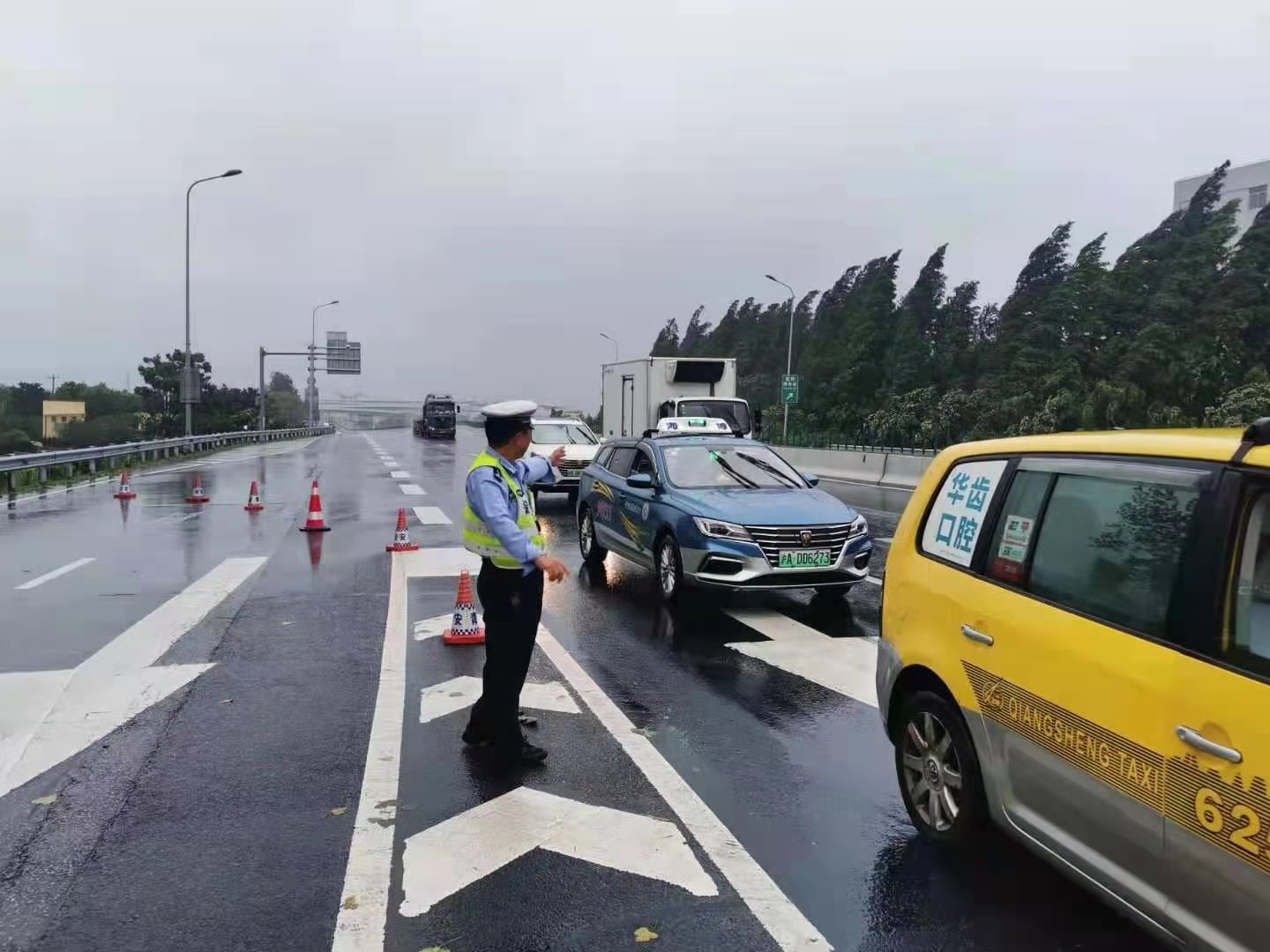 g50沪渝高速突发树木倒伏车道险情:上海青浦交警实行管制,现已恢复