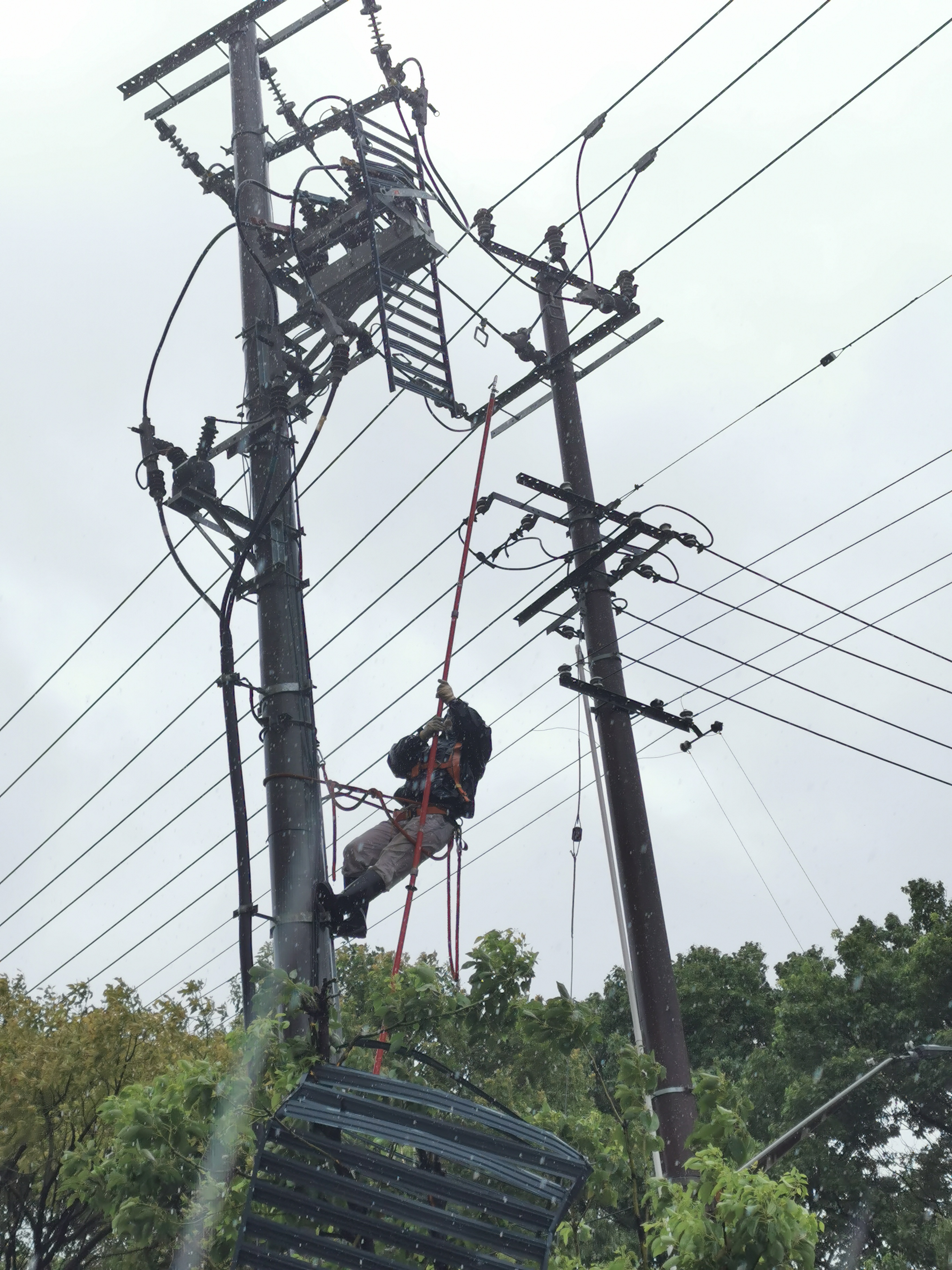 在配电网端,其中多数为树木倒伏等原因造成的中低压架空线路跳闸停电