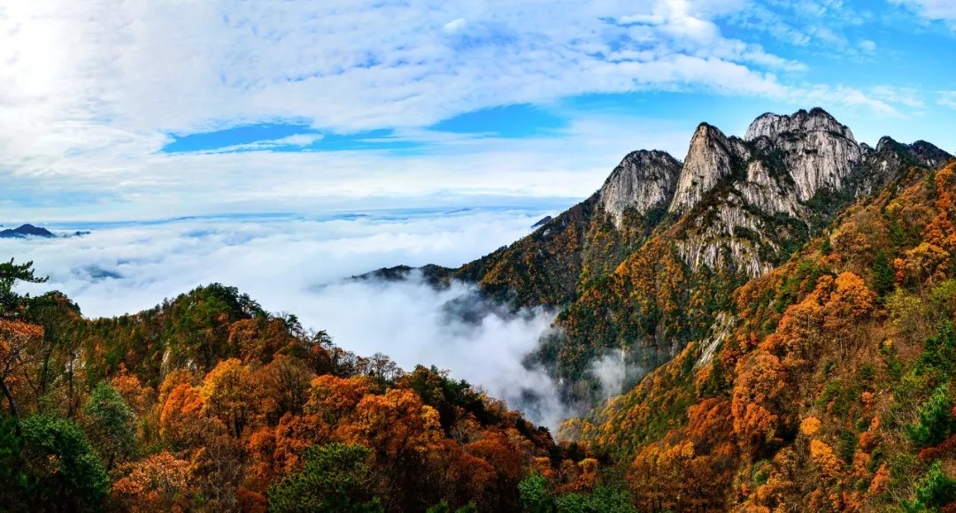 岳西明堂山