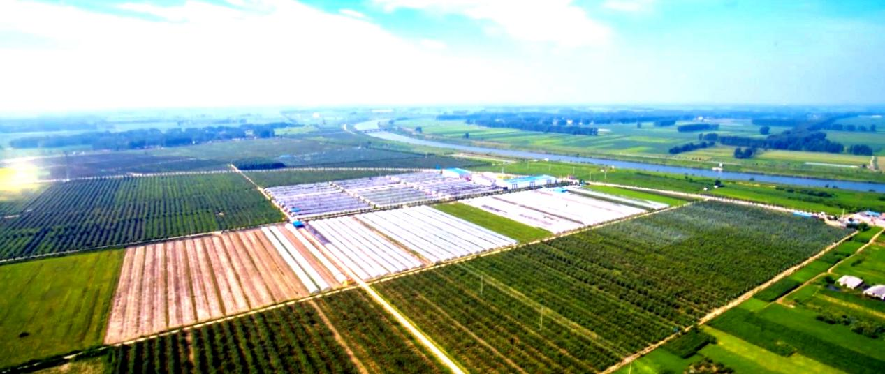 江苏睢宁:全省首单!340余万元,11.4万亩高标准农田