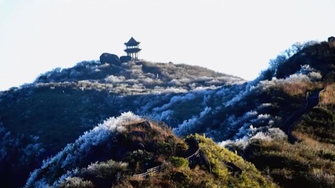 浏阳大围山现雾凇景观山谷遍野晶莹剔透