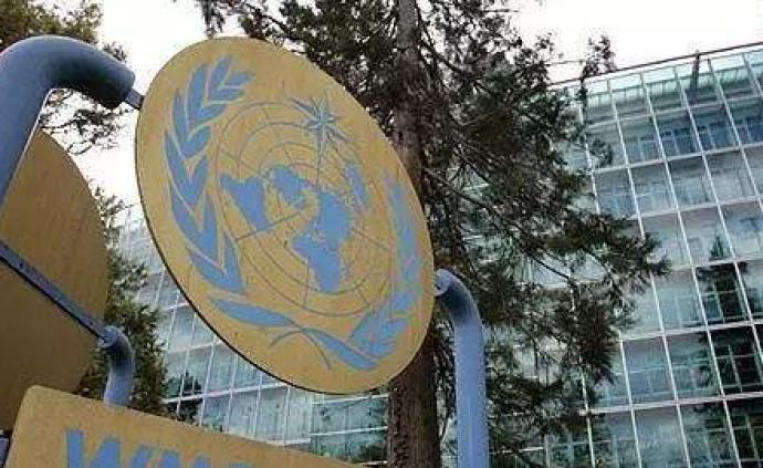 世界气象组织:全球变暖势头不变,未来5年可能再破纪录