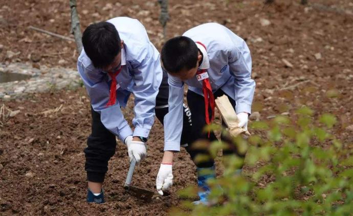 【劳动时评】劳动教育一定要从学生抓起