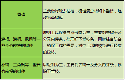 如何减少明年果毛飞絮数量？