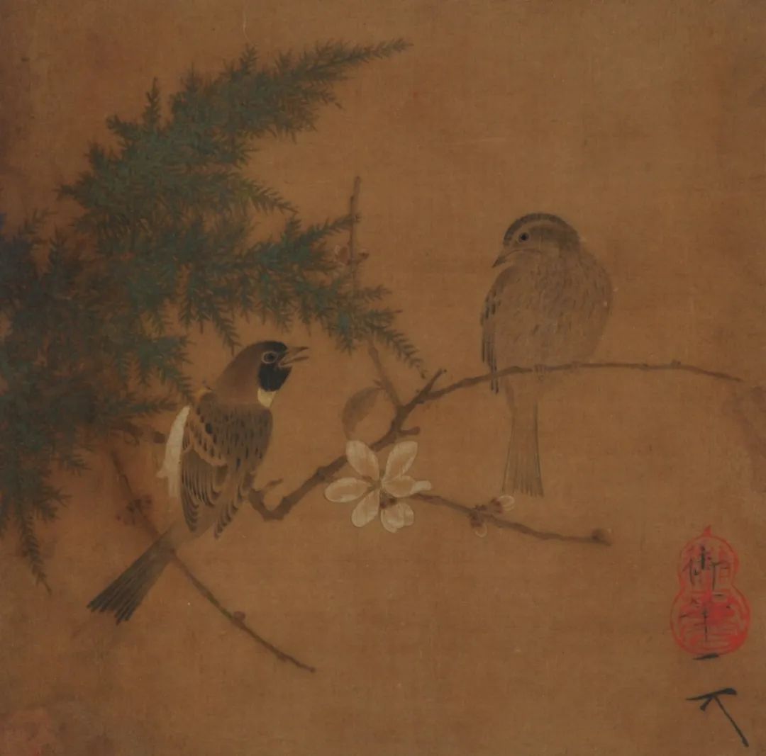 北宋·趙佶臘梅雙禽圖頁 四川博物院藏