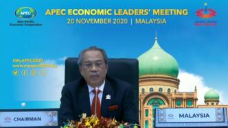 马来西亚总理呼吁APEC成员共同推动区域经济复苏