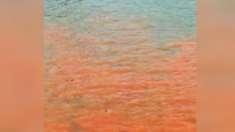 湘江长沙段遭污染变红，官方：系误将铁矿渣扫入江中所致