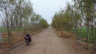 王书金哥嫂：他从小不懂事，少管所里待了三年