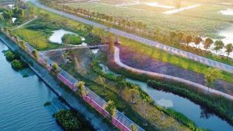 嘉兴启动绿道建设10年，1307公里串起市民绿色新生活