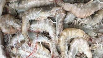 7月以来，厄瓜多尔进口冻虾在我国8地检出新冠阳性