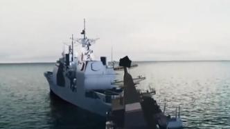俄专家：美海军频繁抵近俄领海侦察，实施挑衅行动