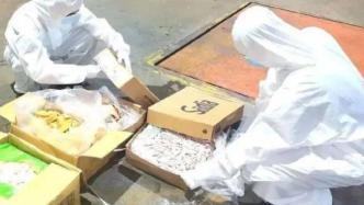 大连一异地取道进口冻品外包装上核酸呈阳性