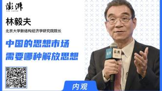 内观｜专访林毅夫：中国的思想市场需要哪种解放思想