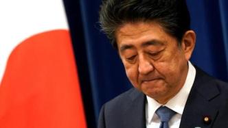 日本“赏樱会”风波发酵，法律团体要求起诉安倍晋三