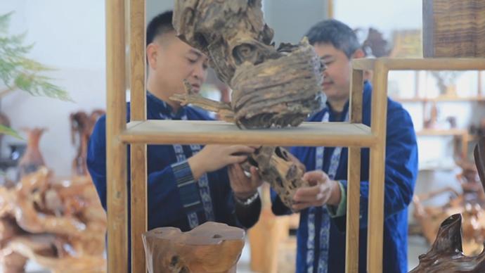 朽木可雕，贵州小村的根雕大产业