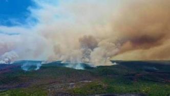 澳大利亚高温致林火失控，世界自然遗产费沙岛森林近半被烧毁