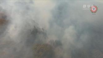 澳大利亚：世界自然遗产弗雷泽岛林火肆虐，情况或持续恶化