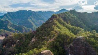 云南马关县：禁止采收老君山保护区内林下经济作物，自然放荒