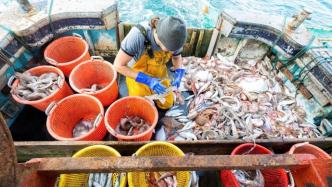 渔业纠纷已化解，英欧贸易协议能否达成尚待解锁其它难题