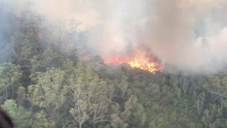 澳大利亚世界自然遗产岛屿遭山火侵袭，至今仍未被扑灭