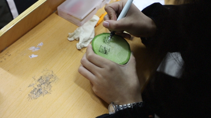 高校开设雕刻艺术欣赏课老师发萝卜和橡皮教学生刻章