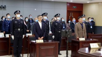 中国工程院院士李宁贪污案二审宣判：改判有期徒刑十年