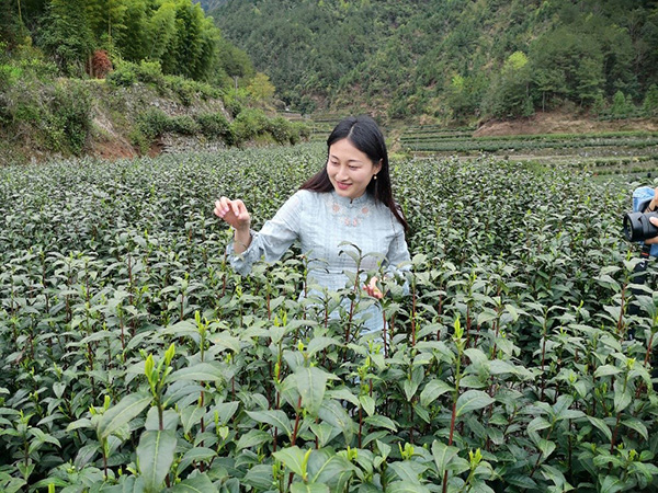 对线后网红女副县长：我是用抖音不是玩抖音