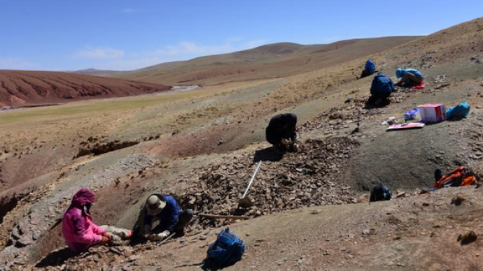 研究发现：青藏高原4700万年前曾有亚热带森林系统