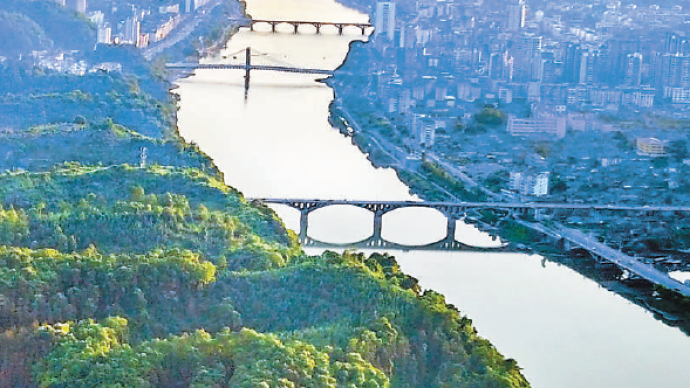 澎湃新闻 专注时政与思想 thepaper.cn