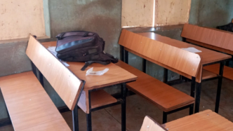 尼日利亚一中学数百名学生失踪事件后续：至少17名学生获救