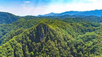国家林草局：力争到2025年全国森林覆盖率达到24.1%