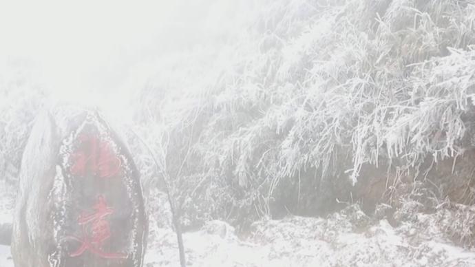 武夷山雪后滿樹霧凇,分水關粉妝玉砌美如畫