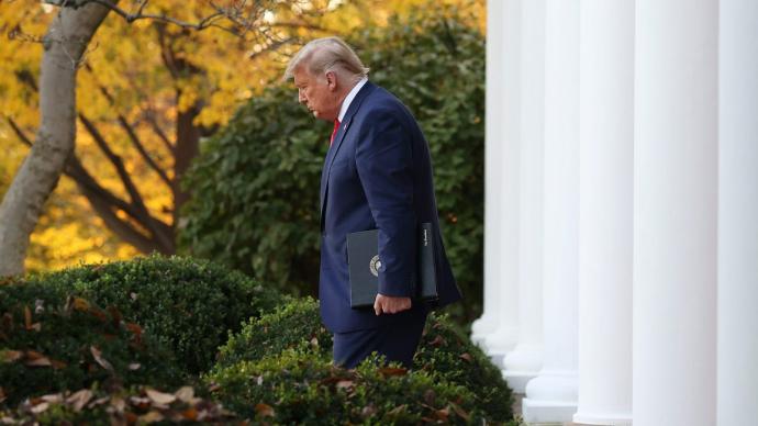 视频 澎湃新闻 thepaper.cn