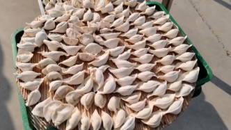 社區(qū)千人餃子節(jié)，村民紛紛全家上陣包餃子分食