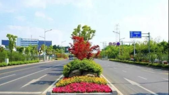 交通设施｜需关注景观道的安全问题：道路绿化和路权