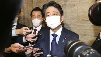 日媒：东京检方决定不就“赏樱会”丑闻起诉安倍