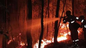《国家森林草原火灾应急预案》印发：让懂打火的人指挥打火