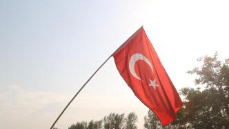 观察丨零问题到零朋友：土耳其的“新奥斯曼主义”能走多远？