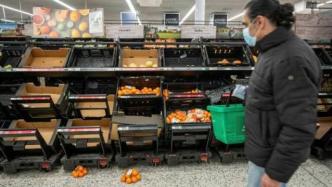 英国连锁超市警告：边境封锁或致水果蔬菜短缺