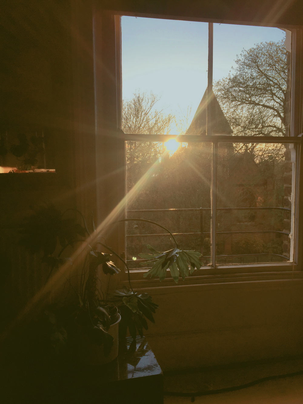 纪念钢琴家陈萨忆傅聪一位优雅的绅士明媚如午后的暖阳