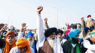印度农民抗议持续：接受政府新一轮谈判的提议，但仍坚持诉求