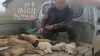 男子開套牌車流竄毒狗，被查棄車逃跑