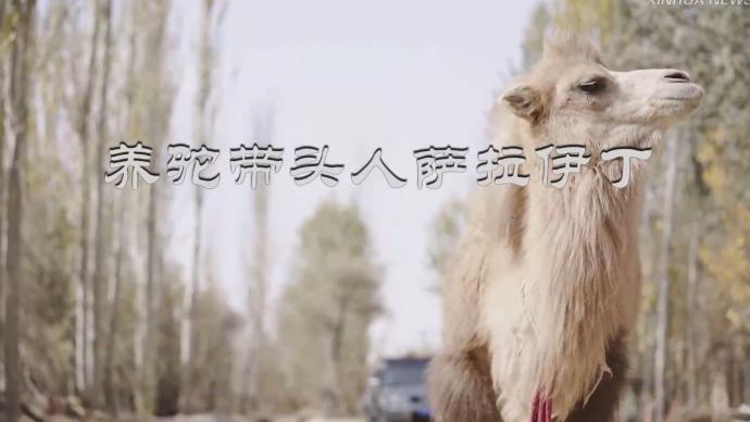 南疆養駝帶頭人薩拉伊丁
