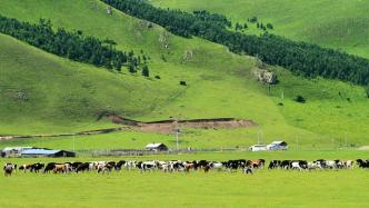 内蒙古划定生态保护红线，重要生态功能区不再新建风电、光伏