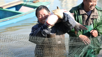 扬州天乐湖冬捕节开幕，新年头鱼拍卖款捐出资助当地困境儿童