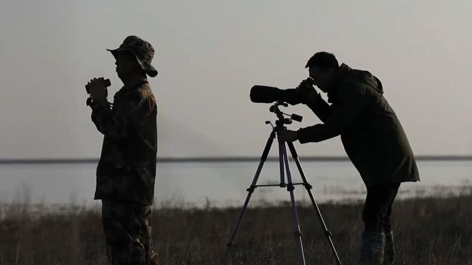 鄱阳湖畔，他们与候鸟“相恋”