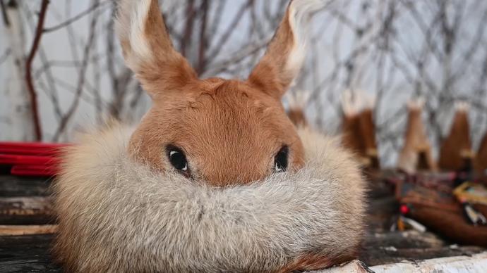 為留住民族記憶，她免費教學鄂倫春狍角帽